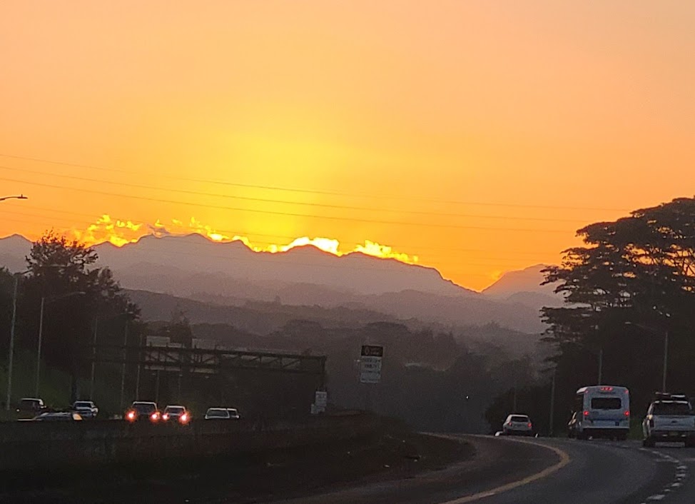 The Tao Of Longevity